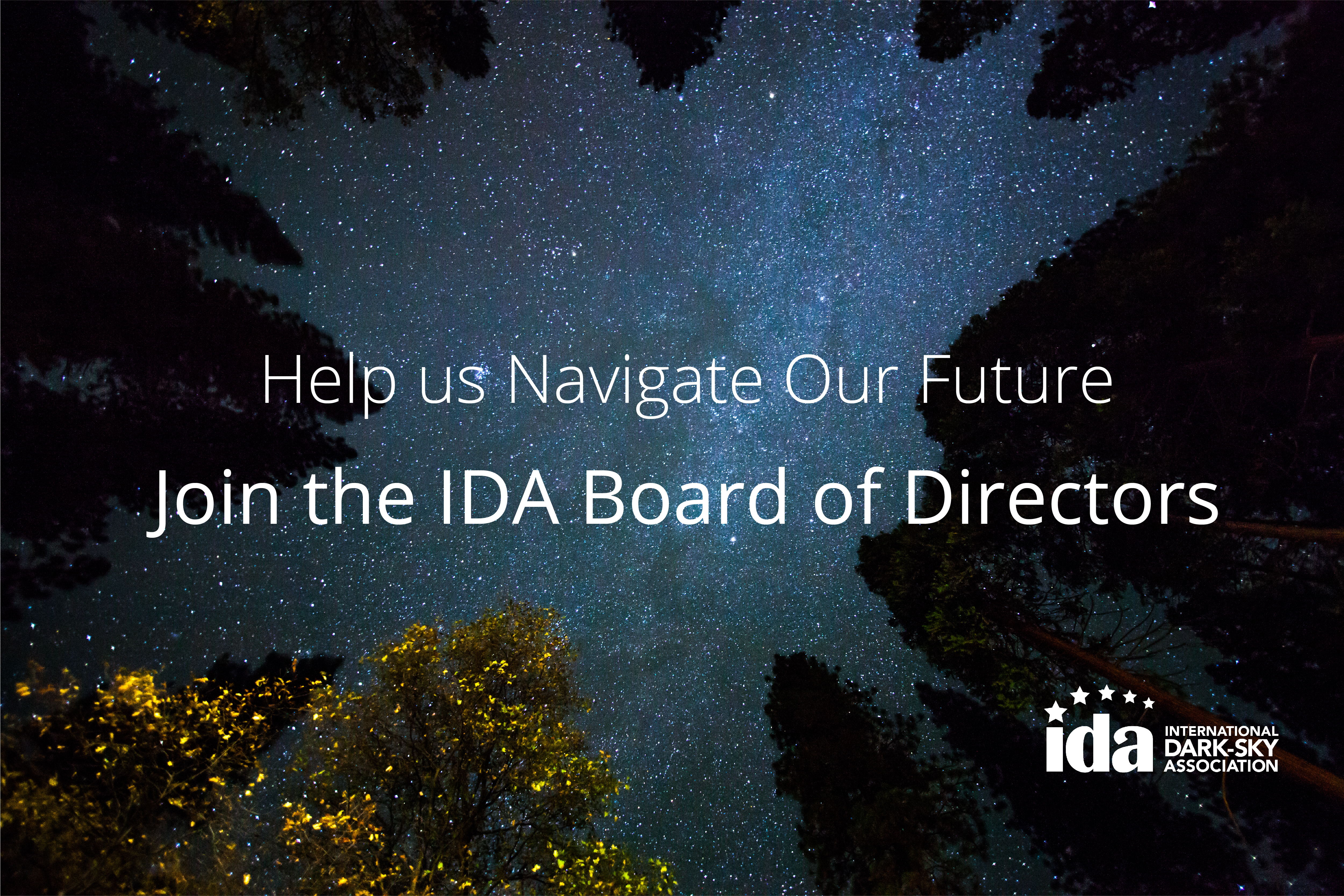 IDA Now Accepting Applications for 2017 Board of Directors – Now Closed IDA Now Accepting Applications for 2017 Board of Directors – Now Closed Thumbnail