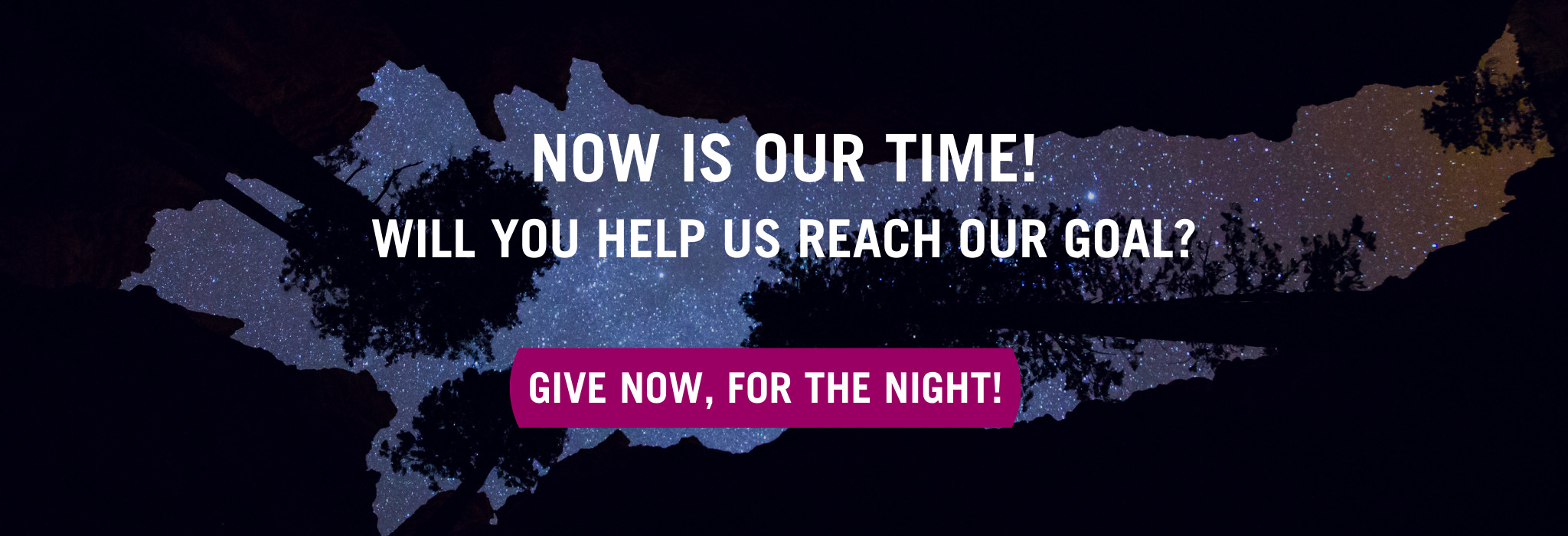 NOW IS OUR TIME WILL YOU HELP US REACH OUR GOAL GIVE NOW FOR THE NIGHT