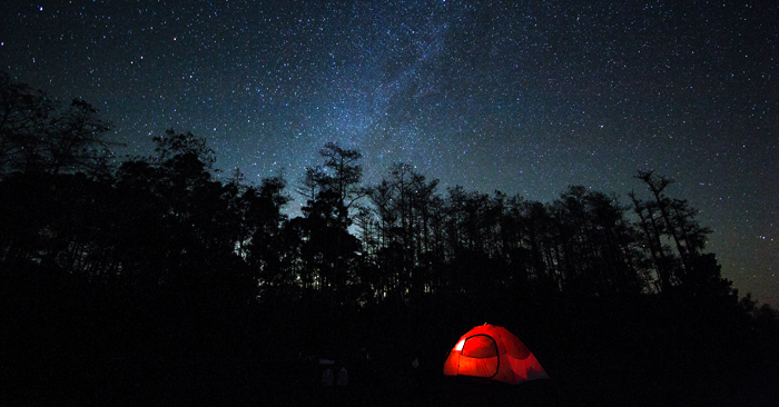 Big Cypress Becomes First U.S. National Preserve To Earn Dark Sky Park Accreditation Image