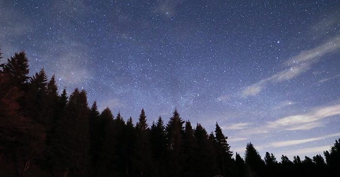 Davagh Forest Park Becomes First International Dark Sky Place in Northern Ireland Image