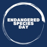 White text that reads endangered species day in all caps surrounded by a white circle on a dark blue background.