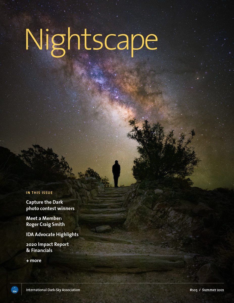 Cover of Nightscape #105