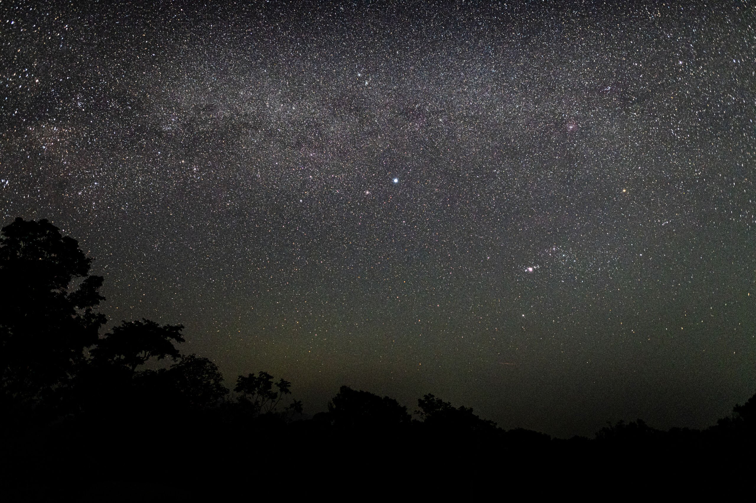 In Search of the Stars: An Artistic Collaboration Between Two Dark Sky Advocates Image