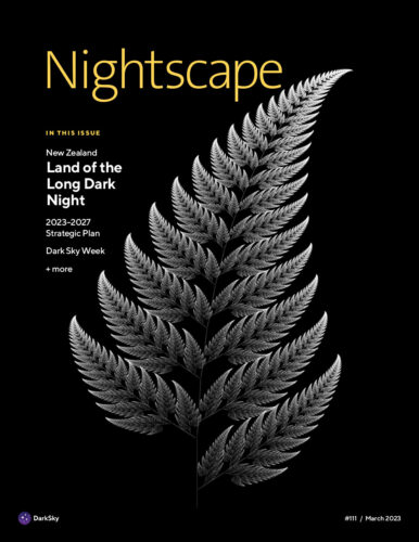 Cover of Nightscape magazine #111, featuring a photo of a silver fern