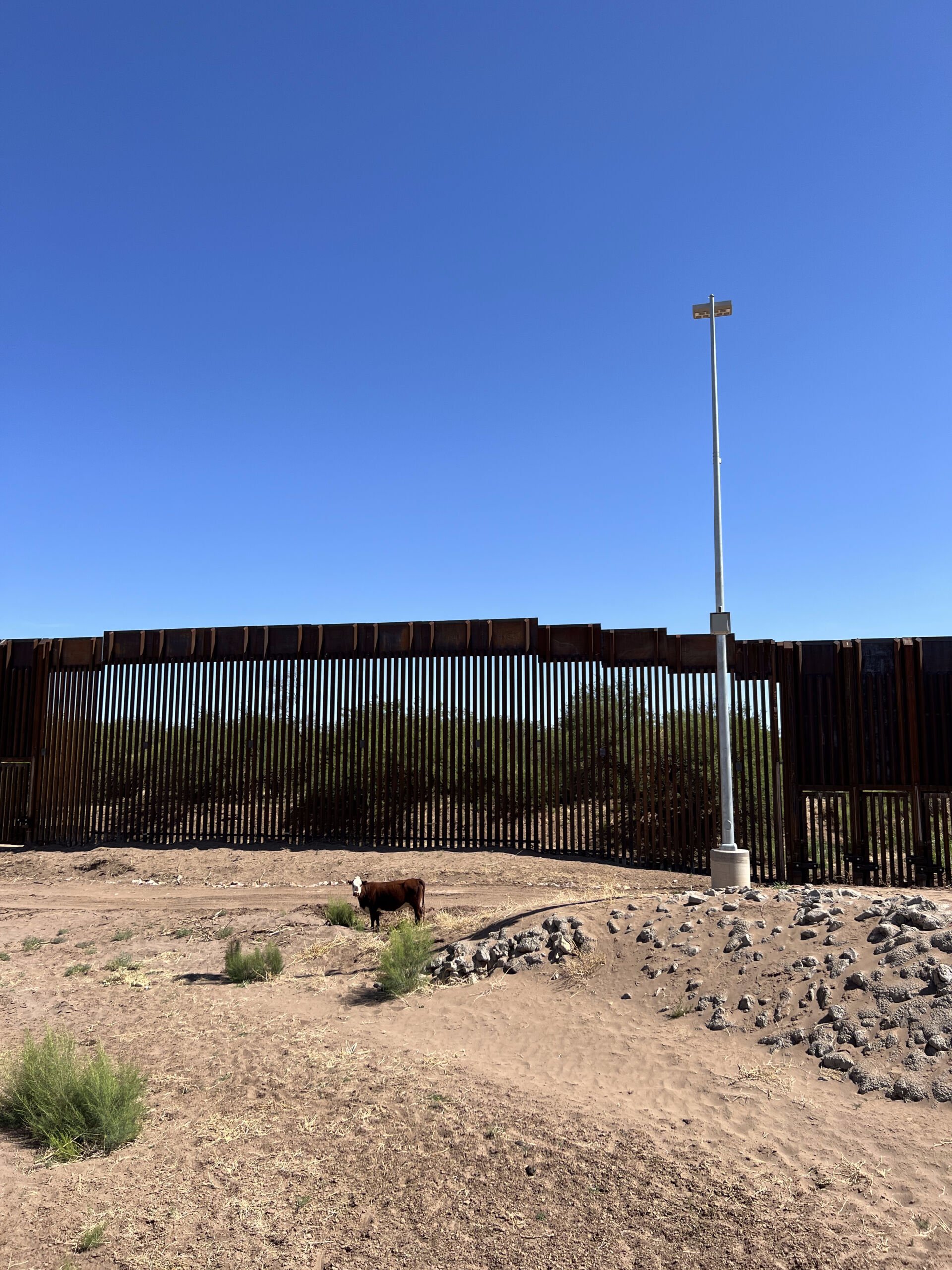 Lights at the Border:  Protecting Some of the Darkest Places in North America Image