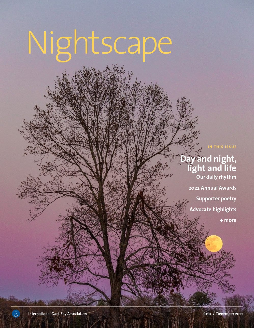Cover of Nightscape magazine, issue #110